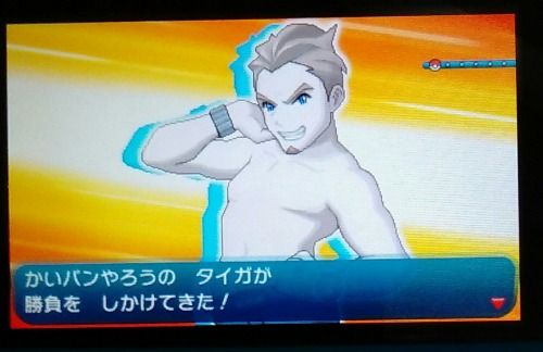 ゲーム ポケモン サンムーン