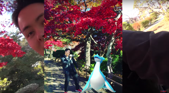 ポケモンGO　ラプラス　東北