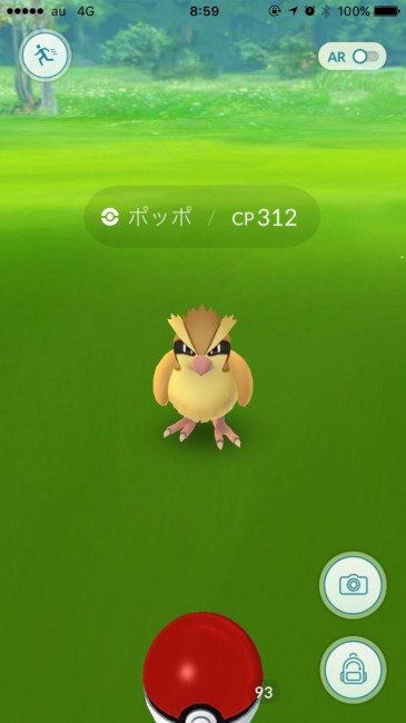 スマホゲーム　ポケモンGO　メタモン