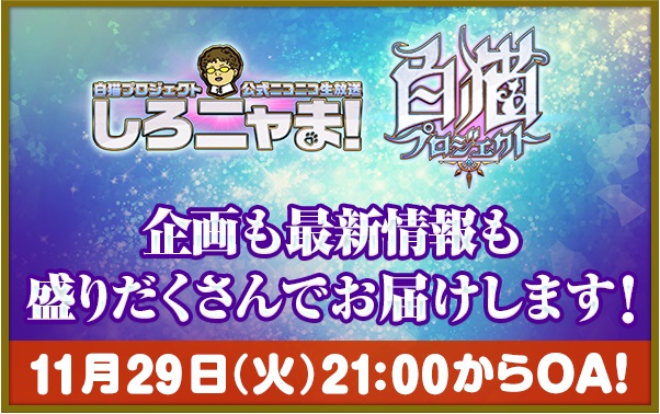 白猫　しろニャま