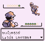 ゲーム ポケモン サンムーン