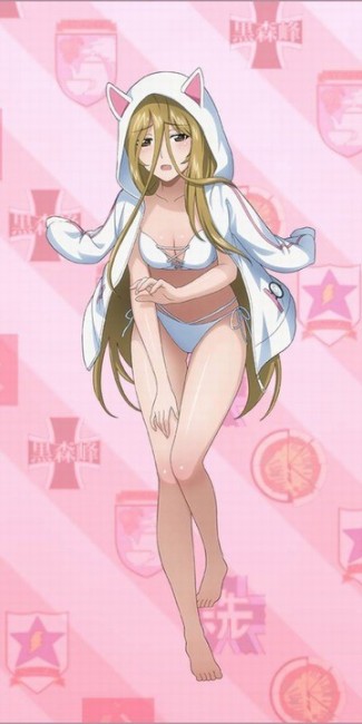 ガールズ＆パンツァー　アリクイさんチーム　履修！戦車道！