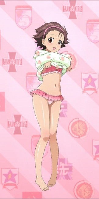 ガールズ＆パンツァー　アリクイさんチーム　履修！戦車道！