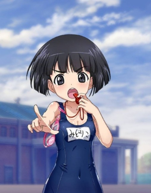 ガールズ＆パンツァー　カモさんチーム　履修！戦車道！