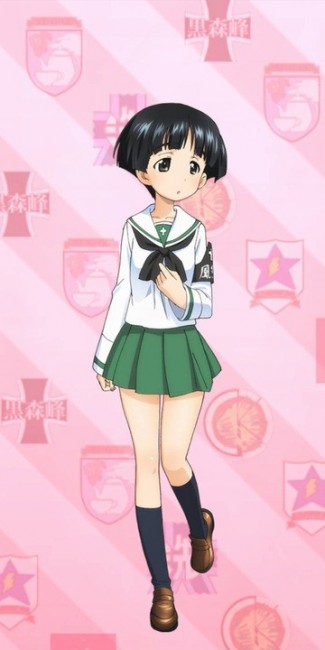 ガールズ＆パンツァー　カモさんチーム　履修！戦車道！