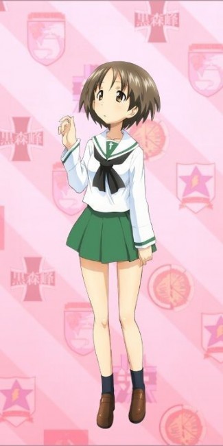 ガルパン ウサギさんチーム 履修!戦車道!