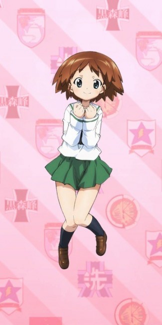 ガルパン ウサギさんチーム 履修!戦車道!