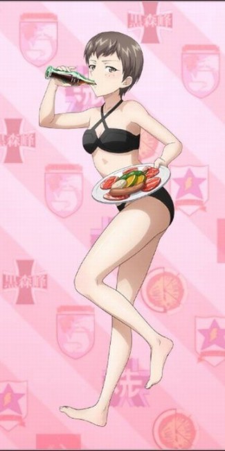 サンダース大学付属高校　戦車道大作戦　履修！戦車道！