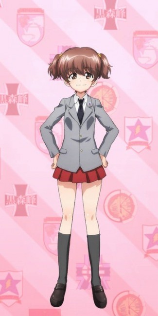 サンダース大学付属高校　戦車道大作戦　履修！戦車道！