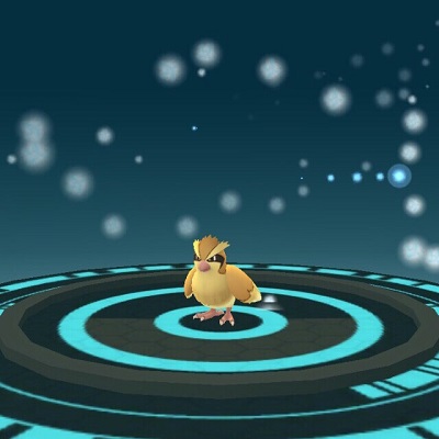 スマホゲーム　ポケモンGO　ポッポ