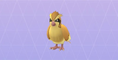 スマホゲーム　ポケモンGO　ポッポ