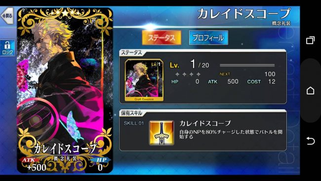 FGO Fate/Grand Order