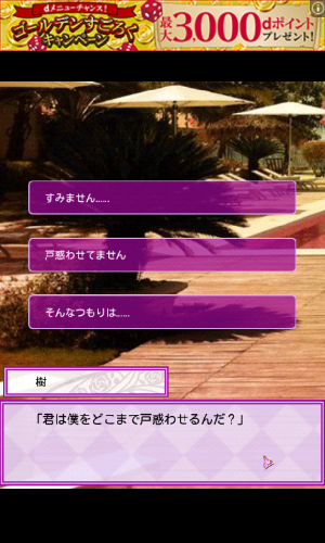 愛人契約　選択肢