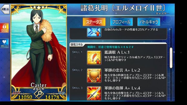 FGO Fate/Grand Order