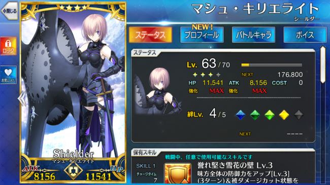 FGO Fate/Grand Order