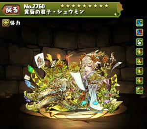 黄菊の四君子・シュウミン