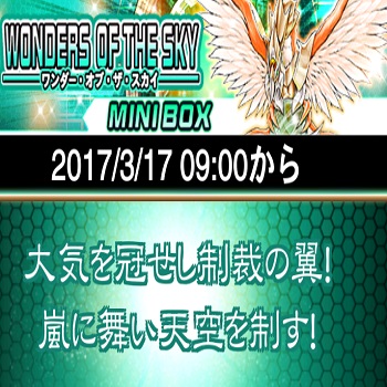 風属性や除外強化のパック登場