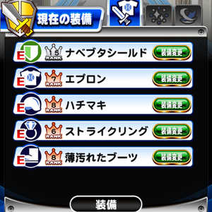 ナベブタシールド持ちのガード装備