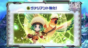 白猫プロジェクト