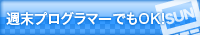 週末プログラマーでもOK