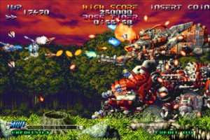 ブレイジングスター画像5