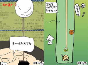 毎日の耳かき