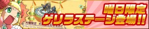ゲリラステージが登場だ！