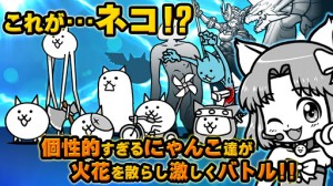 個性的すぎるネコ達が魅力！