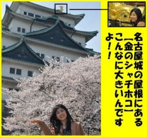 名古屋城