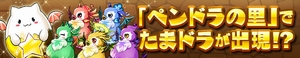 まれに「たまドラ」が出現する！？