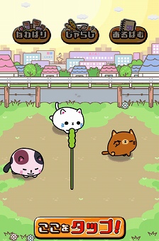 1 にゃんこと戯れる!