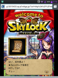 スカイロック　契約書