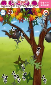 切り裂き紅葉