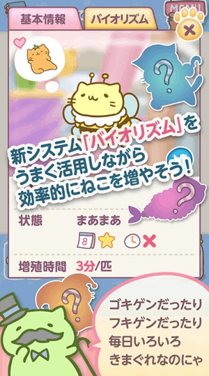 色んなみっちりねこを探そう! 色んなみっちりねこを探そう!