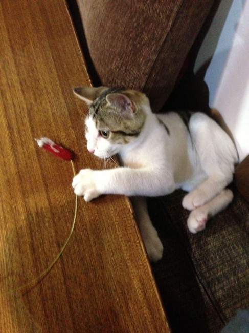 photo03