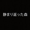 【今日プレイしたゲーム】テキストとサウンドオンリーだからといって侮るな！想像力がかきたてられるRPG『A Silent Wood』