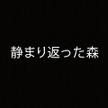 【今日プレイしたゲーム】テキストとサウンドオンリーだからといって侮るな！想像力がかきたてられるRPG『A Silent Wood』の画像