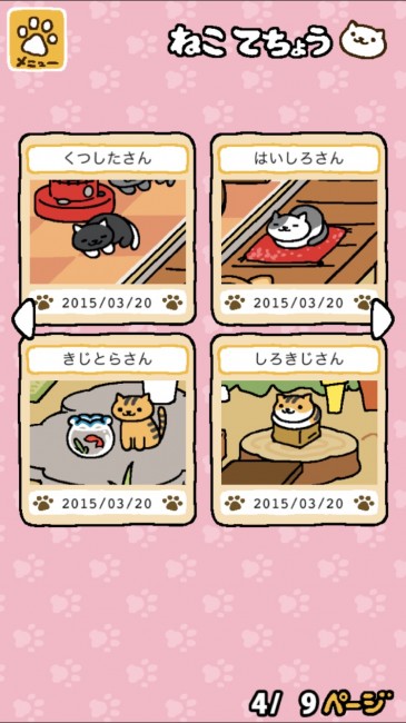 neko (1)