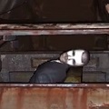 病んでる頭の中が一番怖い！自分もトラウマになりそうなトラウマを治療するサイコホラーゲーム『Nevermind』の画像