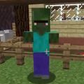 マインクラフトで村人ゾンビを治療！たこらいす（@MrTacorice）がゾンビを元に戻すの画像