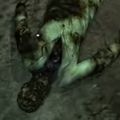 叫び声注意！弟者が『Penumbra: Black Plague』で驚きのあまり離脱ｗの画像