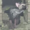 もうエンディング泣ける気しかしない。『人喰いの大鷲トリコ』は動物好き垂涎の絆ゲームの予感！の画像