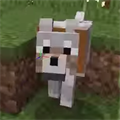 お家に帰らせていただきます!ぐっちは無事マイクラで犬4匹を連れて帰れるのか!?の画像