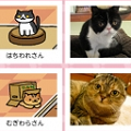 「ねこあつめ」のリアル版がGAME WEEKで、本日限定YouTubeライブ配信！の画像