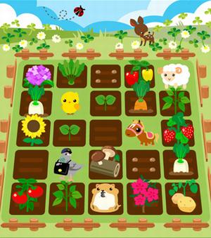 chokottofarm (2)
