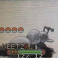 【動画ニュースいっき読み】ポケモンORASの強化版ダイゴにレベル1のポケモンだけで勝利！パンイチでうろうろするドラクエビルダーズ！モンスト闘会議2016限定降臨キャラ「マックスむらい」「HIKAKIN」など、2月3日（水）配信の動画6本まとめの画像