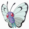 【ちょっと怖いポケモン話】どっちがどっち！？モルフォンとバタフリーの進化姿【ポケモン噂の事件簿24】の画像