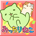 ギュウギュウに詰まったネコに癒される!新作『みっちりねこくずし』iOS版リリース!の画像