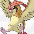 ポケモンを喰らうポケモン！？ピジョンの恐るべき生態が今明らかに！エサにされていたポケモンとは一体？【ポケモン噂の事件簿85】の画像