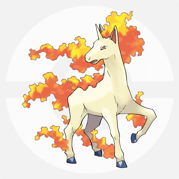 pp02